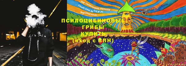а пвп мука Белокуриха