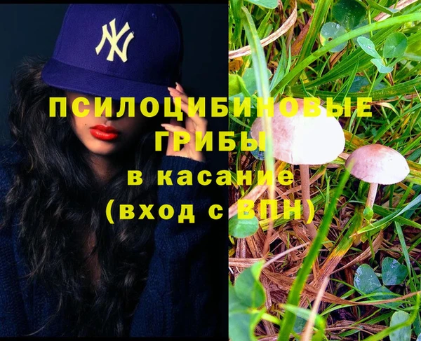прущая мука Белоозёрский
